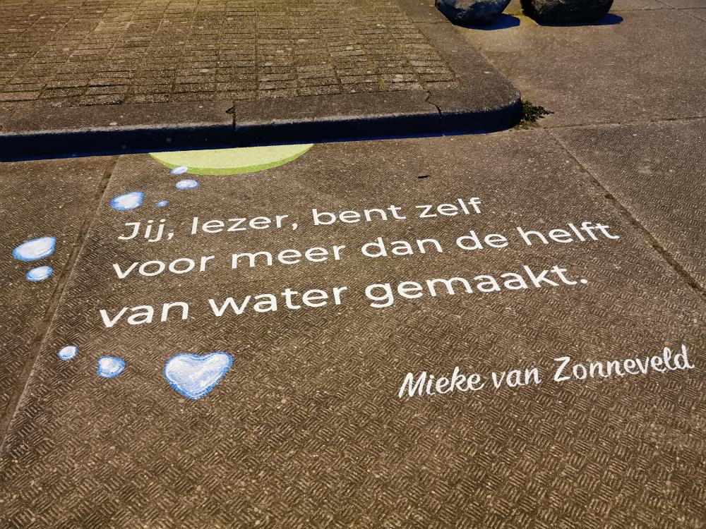 nike overzicht afbeelding